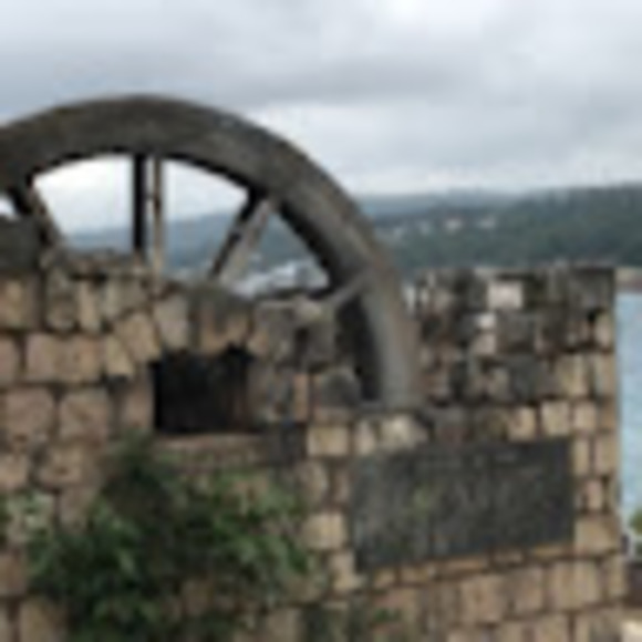 Meet your Posher, Tianna - Picture 1 of 1